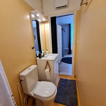 Appartement Bel  les Monts Du Cantal  *