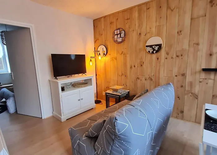 Bel « les Monts Du Cantal » Apartment